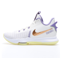 Nike Lebron Witness 5 (CQ9380-102)