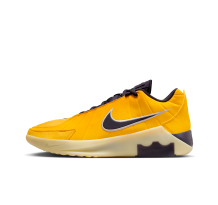 Nike LeBron (HQ8034-700)