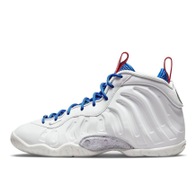 Nike Little Posite One USA Moon GS (DJ4024-001)