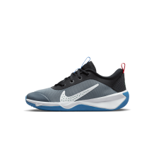 Nike Omni Multi Court (DM9027-006) in grau