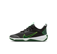 Nike Omni Multi Court (DM9027-012)