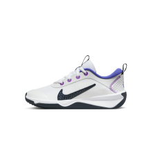Nike Omni Multi Court (DM9027-104)