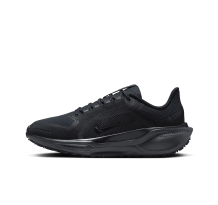 Nike Pegasus 41 GORE TEX (FQ1357-001)