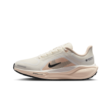 Nike Pegasus 41 GORE TEX (FQ1357-100)