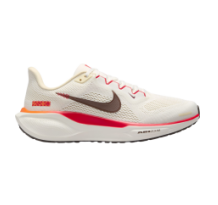 Nike Pegasus 41 (HV5985-101)