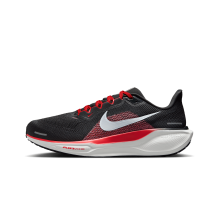 Nike Pegasus 41 (FN4932-005)