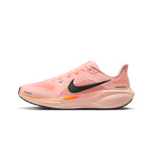 Nike Pegasus 41 (FD2722-801)