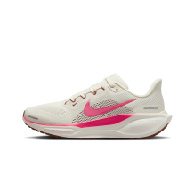 Nike Pegasus 41 (FD2723-107)