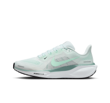 Nike Pegasus 41 Stra (FD2723-113)