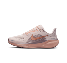 Nike Pegasus 41 Stra (FD2723-604)