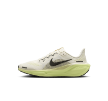 Nike Pegasus 41 Stra (FN5041-106)