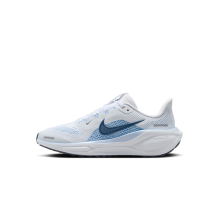 Nike Pegasus 41 (FN5041-110)
