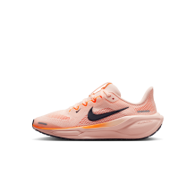Nike Air Zoom Pegasus 41 gs (FN5041-802)