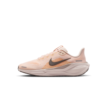 Nike Pegasus 41 Air Zoom (FN5041-803)