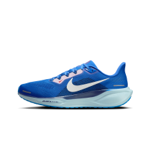 Nike Pegasus 41 (HQ1717-400)