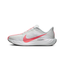 Nike Pegasus Plus (FQ7262-001) in grau