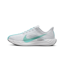 Nike Pegasus Plus (FQ7262-004) in grau