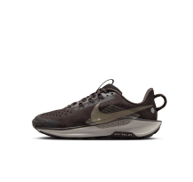 Nike Pegasus Trail 5 (FV5638-201)