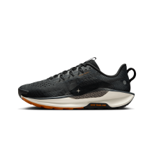 Nike Pegasus Trail 5 (DV3864-006)