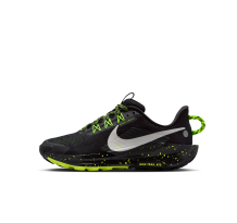 Nike Pegasus Trail 5 (FV5638-006)