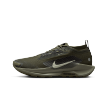 Nike Pegasus Trail 5 GORE TEX SP Reactx Gtx (HQ7494-300)