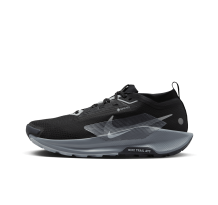 Nike Pegasus Trail 5 GORE TEX (FQ0908 001)