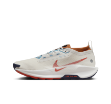 Nike Pegasus Trail GTX WMNS White (FQ0908-003)