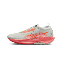 Nike Pegasus Trail 5 GORE TEX wasserdichter (FQ0908-004) in grau