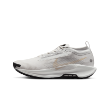 Nike Pegasus Trail 5 Gore TEX (FQ0908-010)