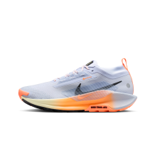 Nike Pegasus Trail 5 GORE TEX (FQ0908-011)