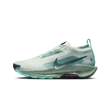 Nike Pegasus Trail 5 GORE TEX (FQ0908-013)