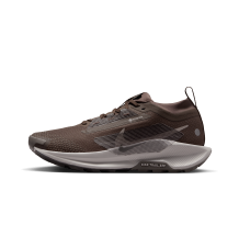 Nike Pegasus Trail 5 Gore Tex Ironstone College Grey Velvet (FQ0912-012)