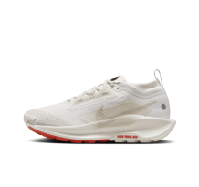 Nike Pegasus Trail 5 GORE TEX (FQ0912-100) in weiss