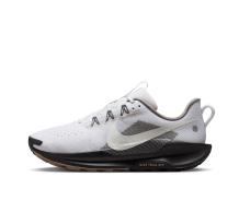 Nike Pegasus Trail 5 (IB7667-001)
