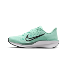Nike Quest 6 Mint Foam Cannon (FD6034-301)