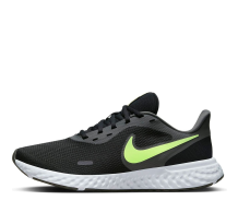 Nike Revolution 5 Green (BQ3204-013)