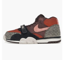 Nike SB Air Trainer 1 Limestone Arts Rec (IF0501-200)