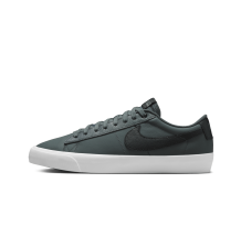 Nike SB Blazer Low Pro GT (DV1226-300)