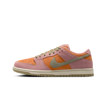 Nike SB Dunk Stardust Low (HJ4135-600)