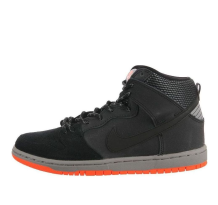 Nike Dunk High Prm Shield (684805-001)