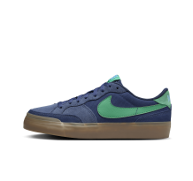 Nike Pogo Plus (DV5469-402) in blau