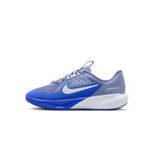 Nike Sonic Fly (FZ0017-402)