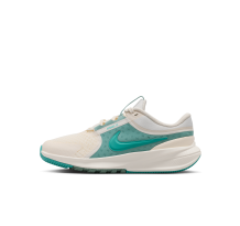 Nike Star Runner 5 (HF7004-003)