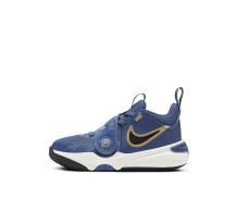 Nike Team Hustle D 11 (FZ7296-400)