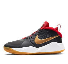 Nike Team Hustle D9 Dark Smoke Grey Gold (AQ4224-011)