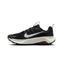Nike Wildhorse 10 (FV2338-001)
