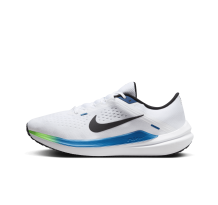 Nike Winflo 10 Air (DV4022-103)