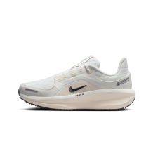 Nike Winflo 11 GORE TEX Air (FQ1359-100)