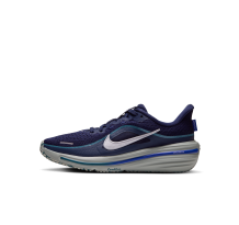 Nike Winflo 12 (IQ9767-410)