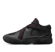 Nike Zoom Court Dragon (DV8166-001)